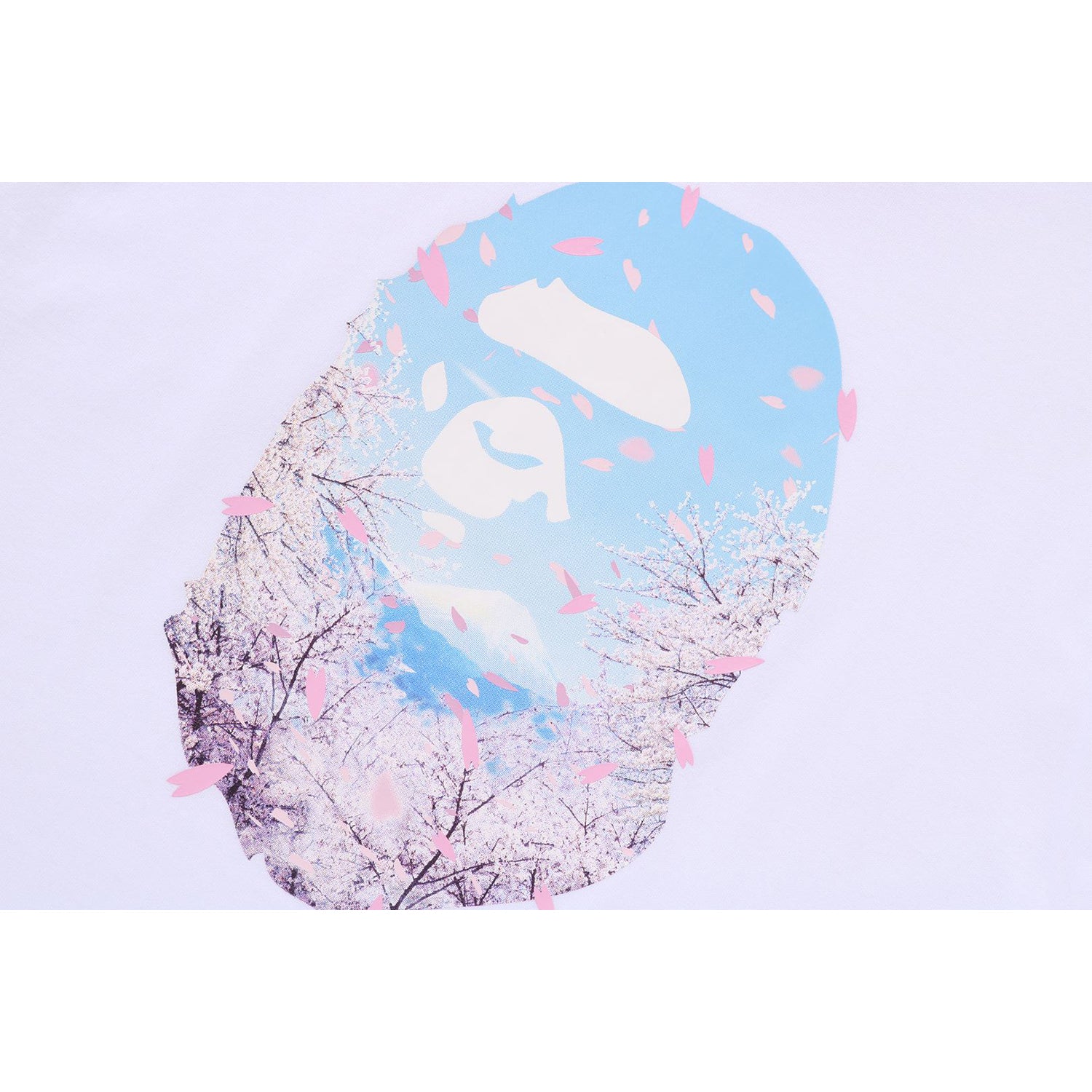 001CSM202001_WHT_C.jpg
